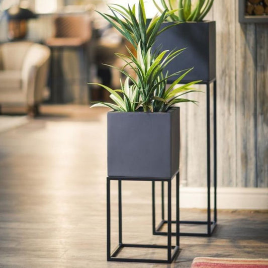 oakley planter