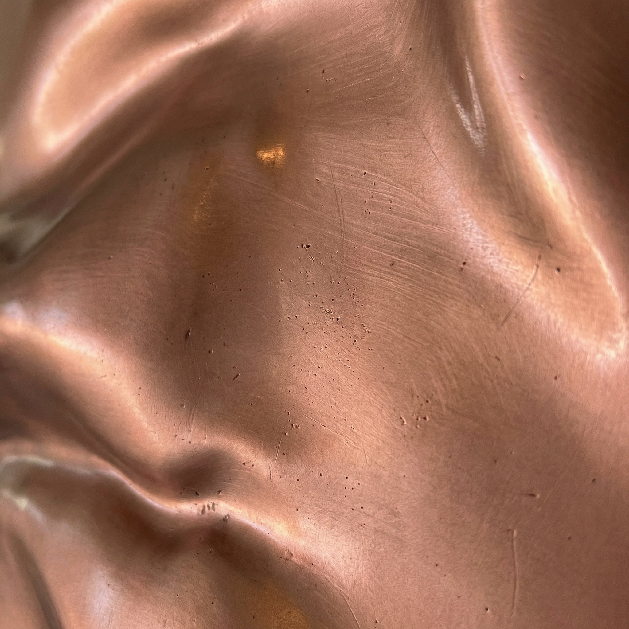 Macro close-up